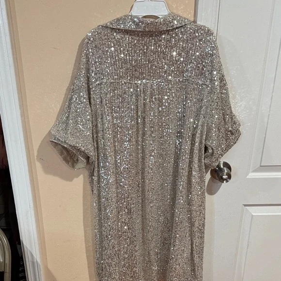 Everly Silver Sequin Dress - Picture 8 of 10